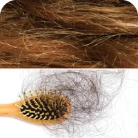 Stumpfes, strapaziertes Haar